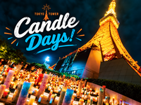 日本最大級のキャンドルイベント「TOKYO TOWER CANDLE DAYS 2026」にいこう