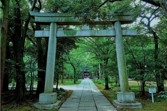 【赤坂の自然豊かな神社で朝活！】10/31  8時半　赤坂氷川神社参拝！【参加費還元！】