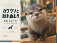 【池袋】カワウソと触れ合おう！