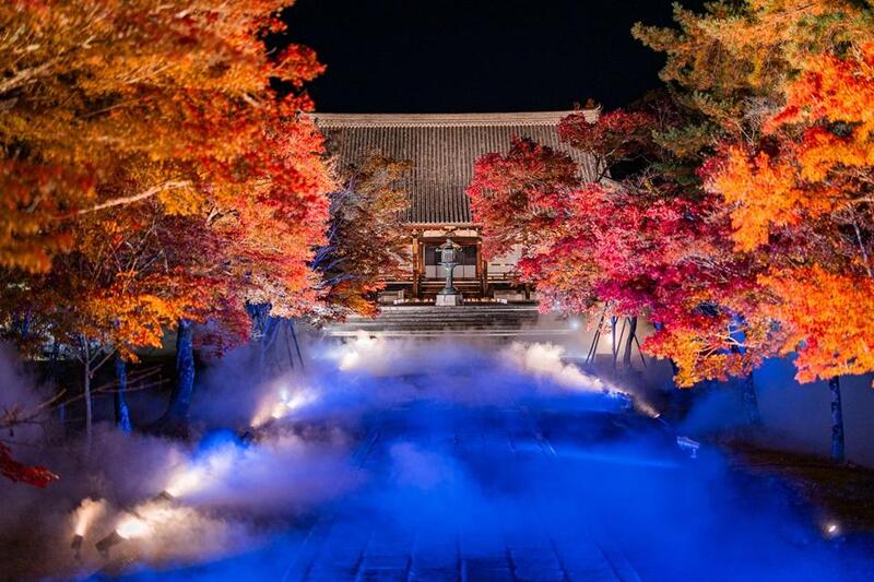 仁和寺・紅葉雲海ライトアップ散策しよう🍁   29歳以下限定(一部除く)