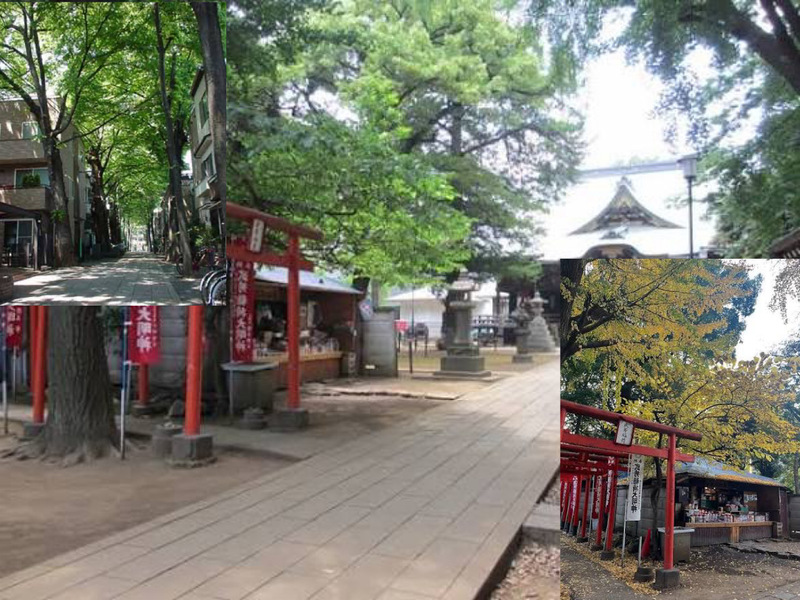 【自然と歴史のある雑司ヶ谷を散歩＆古民家カフェ！】11/3 9時30分　雑司ヶ谷 鬼子母神堂周辺散歩～キアズマ珈琲