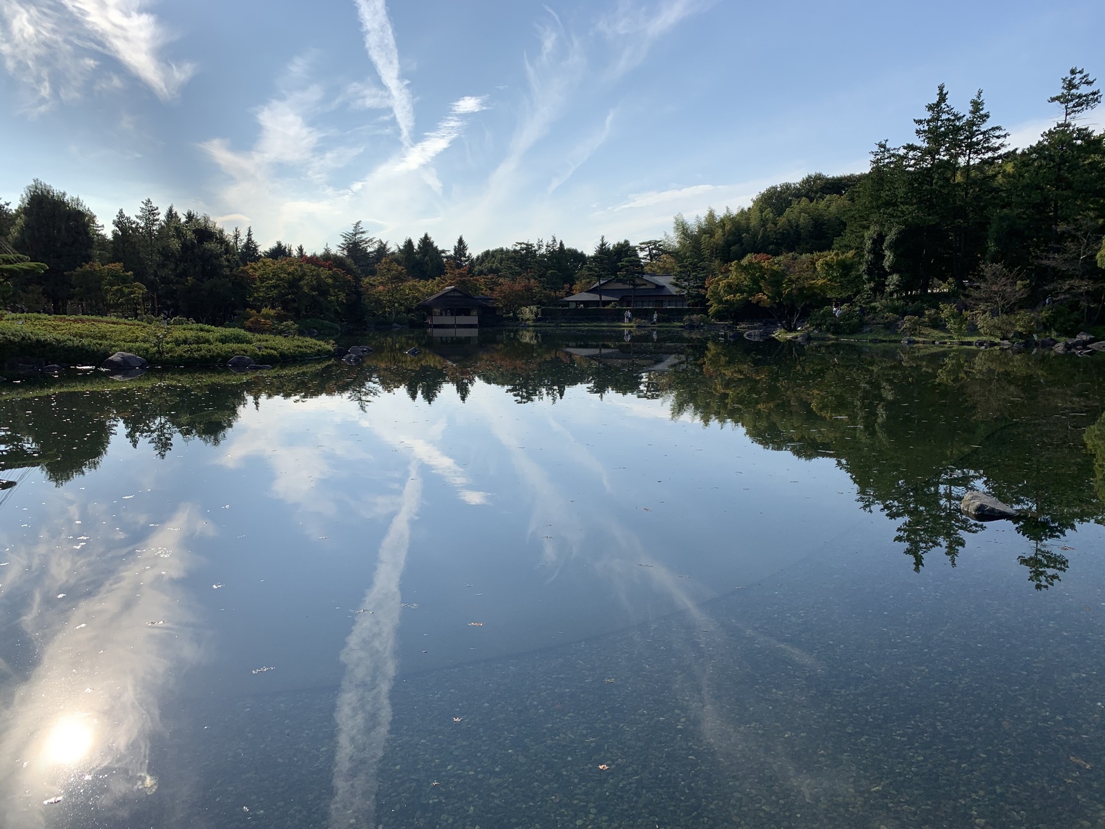 【10/24(土)】昭和記念公園⛲️を散策しましょう！  1人参加OKです 少人数【参加費500円】