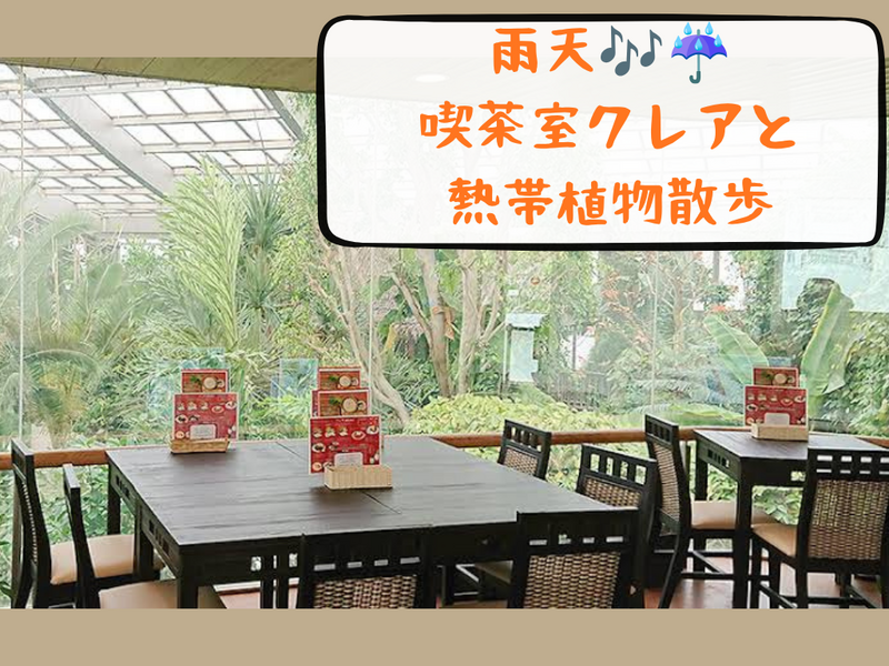 【板橋】週末雨天は喫茶☕️と熱帯雨林散歩へ🚶