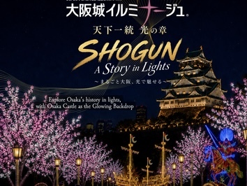 大阪城イルミナージュをみんなで見に行こう🏯✨️   29歳以下限定(一部除く)