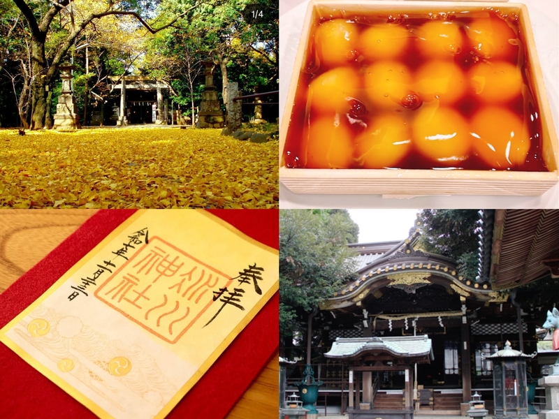 【女性主催】銀杏と赤坂周辺の神社仏閣巡りとちょっとしたピクニックしよう！