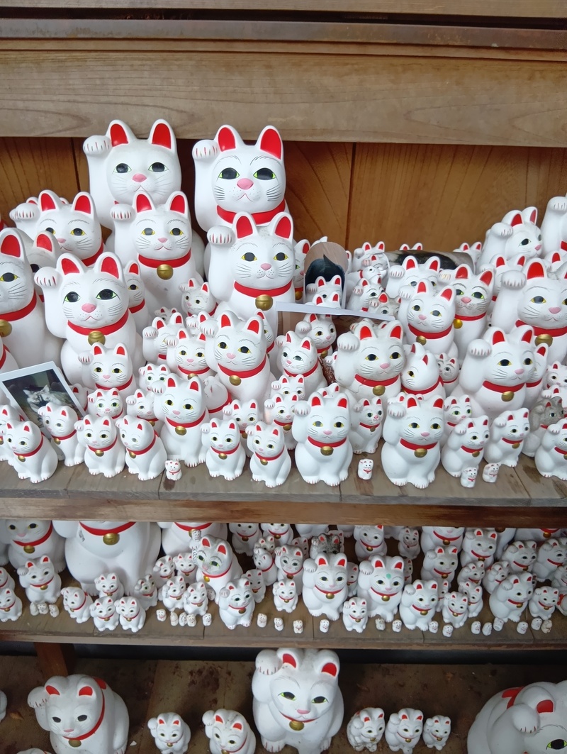 【12/13(日)豪徳寺開催】招き猫フォト＆街歩き🍂限定ゆる散歩・初心者歓迎📸