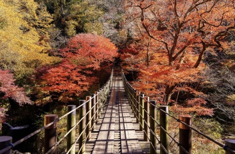 【20代主催】茨城県・紅葉🍁ドライブ🚗
