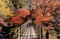 【20代主催】茨城県・紅葉🍁ドライブ🚗