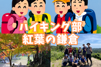 【ハイキング部】12/12（土）紅葉の鎌倉！建長寺と鎌倉宮で美しい紅葉を見よう！【初心者向け】