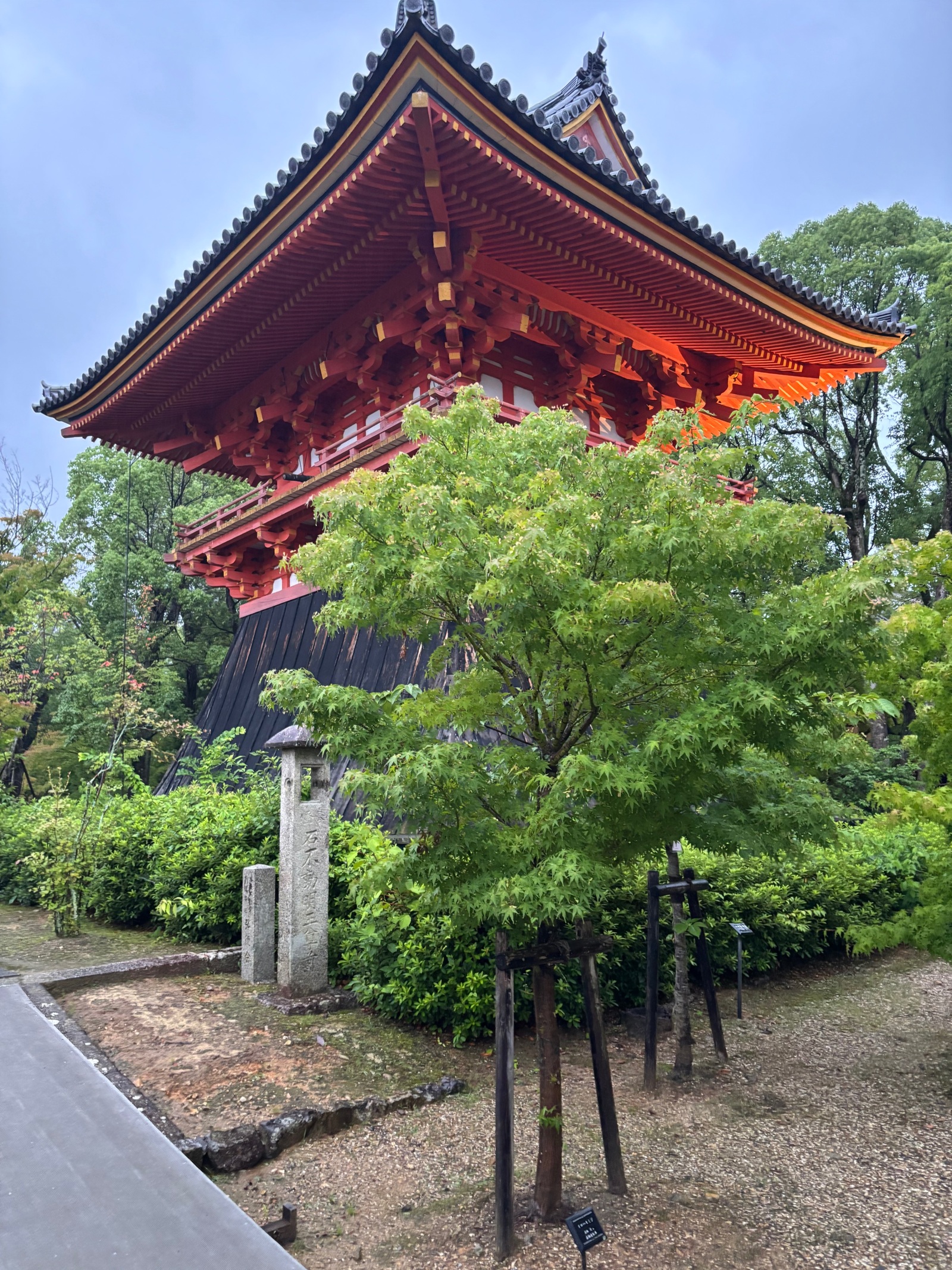 早起きして寺社仏閣を参拝しよう！