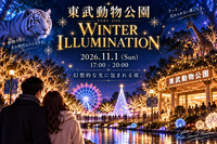 【11/01(日)】東武動物公園イルミネーション・ドライブ🚗✨ 西新宿集合・貸切感覚で夜の光を満喫！