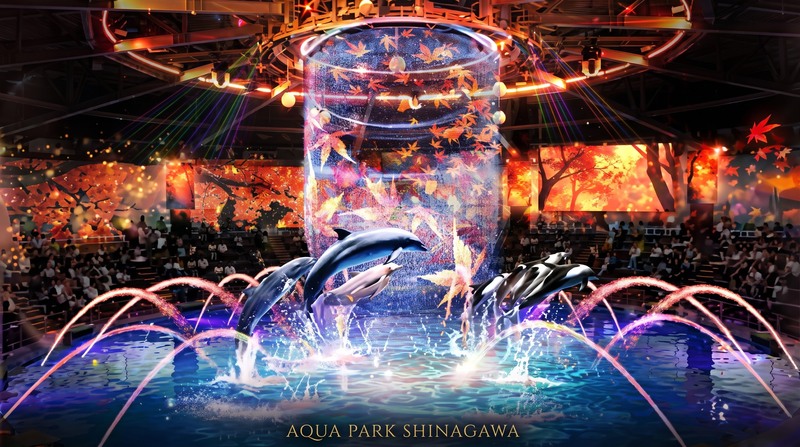 光と音の幻想空間へ🐟
アクアパーク品川で水族館散策＆イルカパフォーマンス鑑賞！