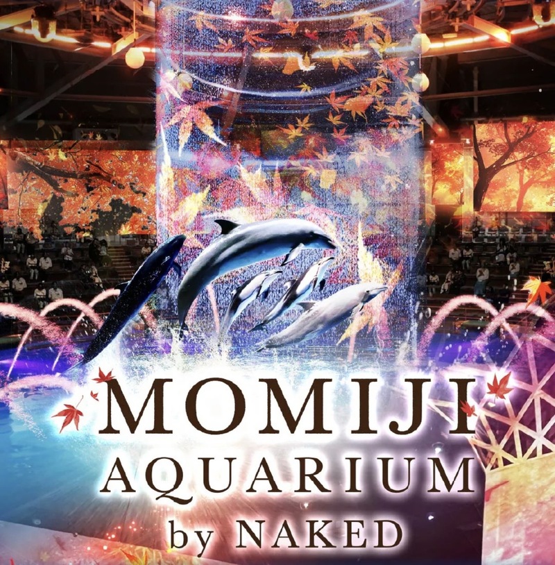 光と音の幻想空間へ🐟
アクアパーク品川で水族館散策＆イルカパフォーマンス鑑賞！