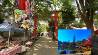 【新宿の神社骨董市に行こう＆庭園散歩！】11/1 14時　花園神社青空骨董市～新宿御苑【リピーター参加費還元！】