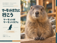 今流行りのマーモットカフェに行こう！