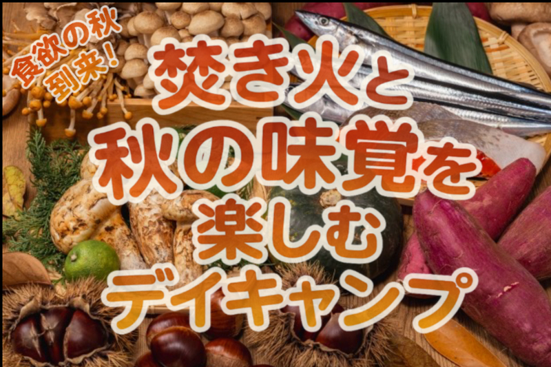 【秋はキャンプが心地いい】焚き火と秋の味覚を楽しむデイキャンプをしよう🍂