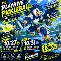 PLAYHIVEPICKLBALL 緩くピックルボールゲーム