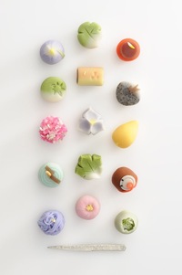 🌼女性主催🌼【11月14日大阪市内】練り切り和菓子作り体験🍡初心者・おひとり参加大歓迎で和のスイーツを楽しもう✨