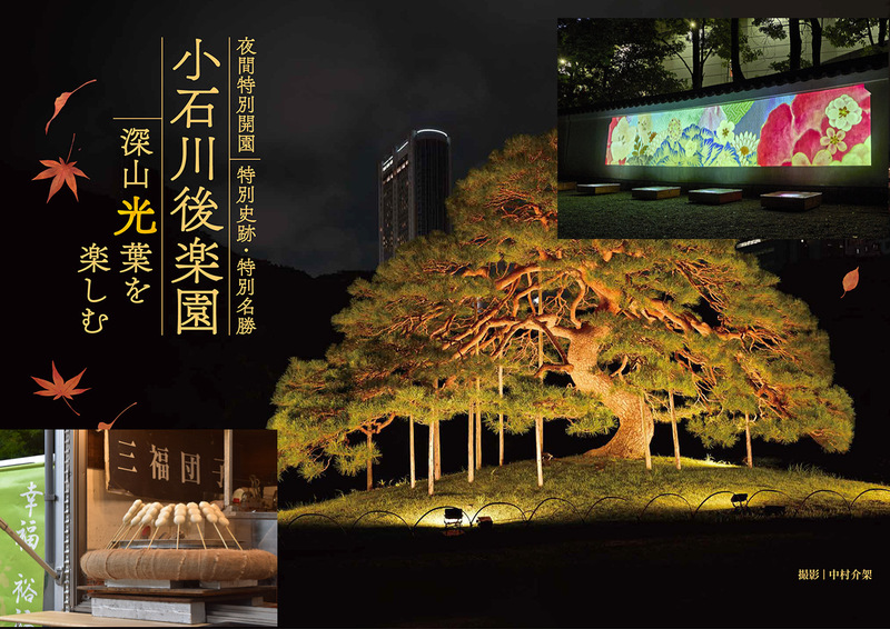 【後楽園の紅葉ライトアップを見に行こう！】11/14 19時　小石川後楽園　深山“光”葉を楽しむ【リピーター参加費還元】