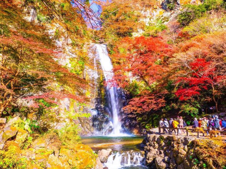 【秋の絶景ハイキング】箕面の滝と紅葉を楽しもう！🍁✨   29歳以下限定(一部除く)
