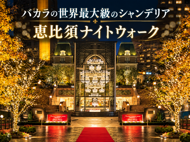 8500粒のクリスタルが輝く！恵比寿バカラの光とクリスマスを楽しもう