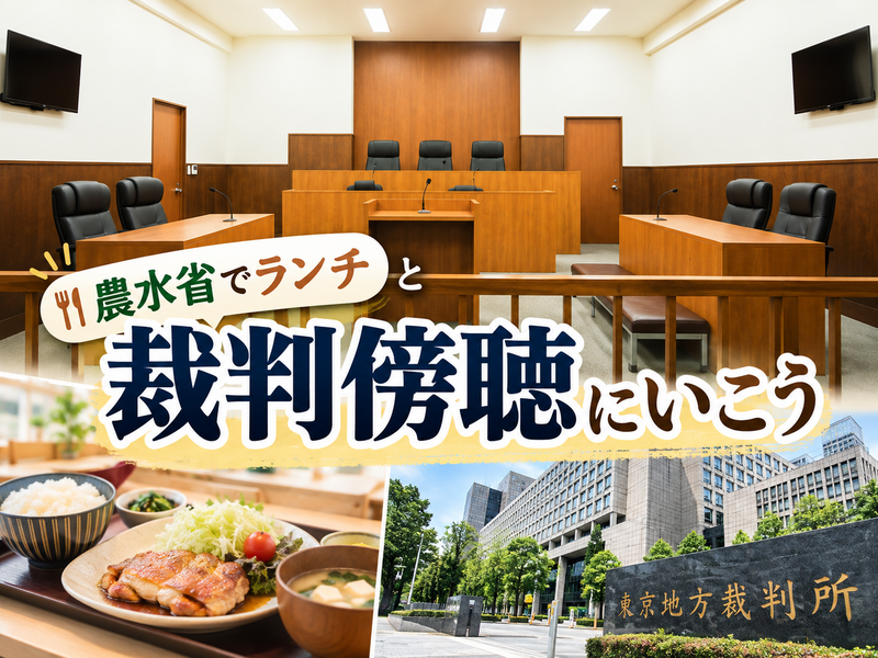 農水省の食堂でランチして東京高裁・地裁の裁判傍聴を体験しよう