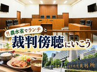 農水省の食堂でランチして東京高裁・地裁の裁判傍聴を体験しよう
