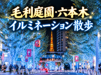 金と白の光がきらめく！毛利庭園と六本木ヒルズを夜散歩しよう