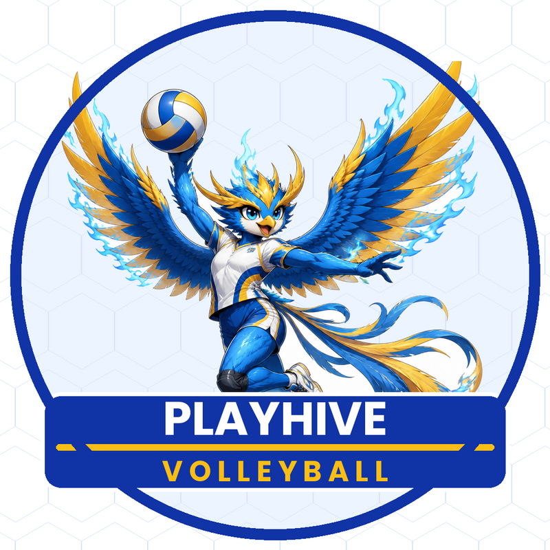 緩くバレーボールしましょう！🏐