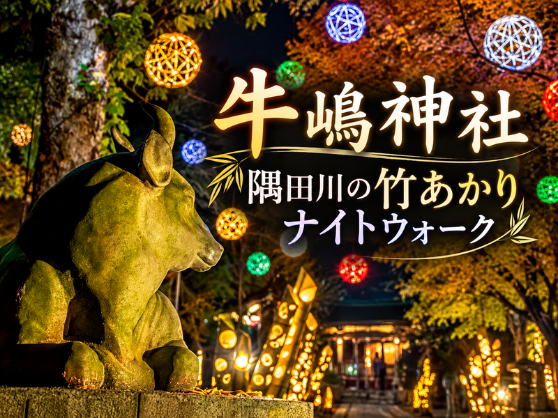 神社が竹あかりに包まれる！牛嶋神社と隅田川の光を楽しもう
