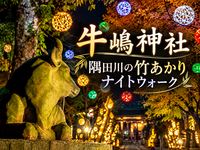 神社が竹あかりに包まれる！牛嶋神社と隅田川の光を楽しもう