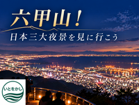 六甲山！日本三大夜景を見に行こう🌃