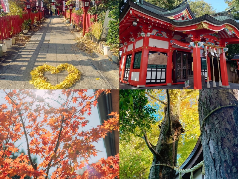 【女性主催】川越で神社仏閣巡りと食べ歩きをしよう！