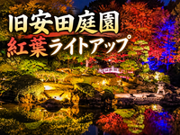 水面に揺れる紅葉と光！旧安田庭園の夜景を楽しもう