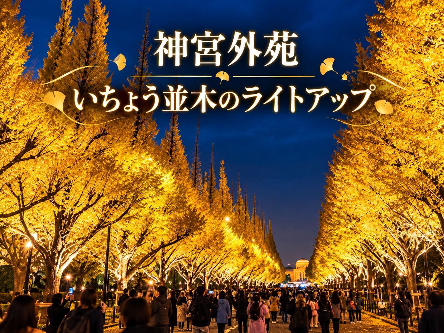 黄金のいちょう並木と歴史を楽しもう！神宮外苑の秋夜散歩