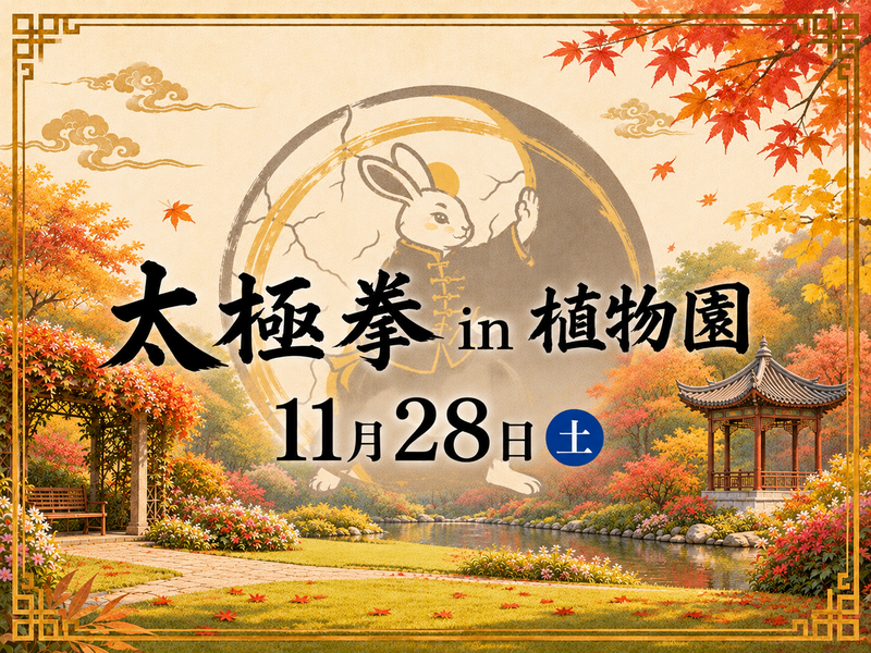【ゆったり】太極拳【in植物園】11/28(土)