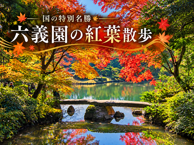 江戸の和歌が庭園になった！紅葉の六義園で大名文化を楽しもう