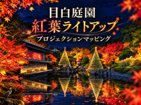 【映像演出初日】目白庭園の紅葉ライトアップと近代建築を巡ろう
