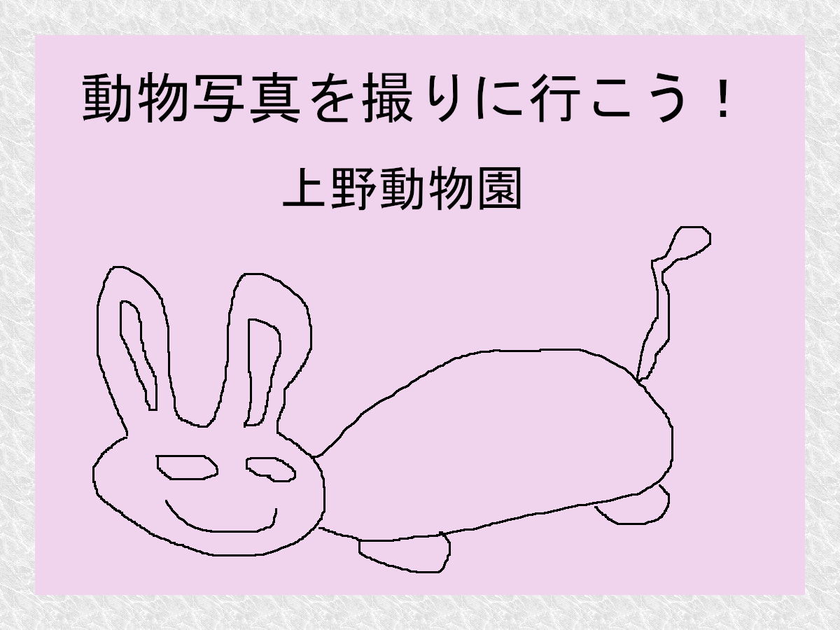 『上野動物園』で、動物の写真を撮ろう！