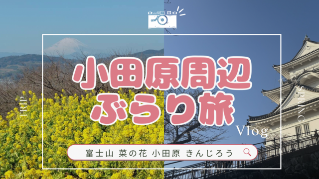 2026/2/15 はぴヨロ🍀登山部⛰️吾妻山で春先取り🌸菜の花×富士山🗻からの…人生最後の滑り台!?🛝🤣