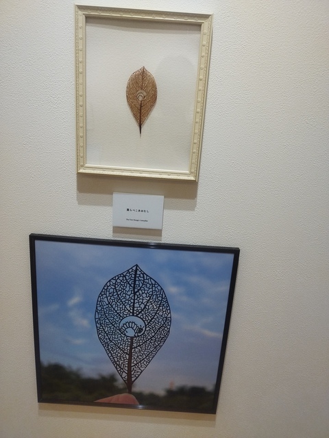 2025/8/16🎨【絵本】新部員募集💞🖼️鈴木のりたけ『大ピンチ展』と葉っぱアート🍂