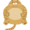 participant