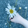 Create User Image